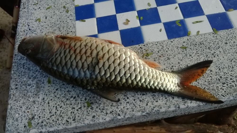 เทสหมายตอนกลับบ้านปีใหม่