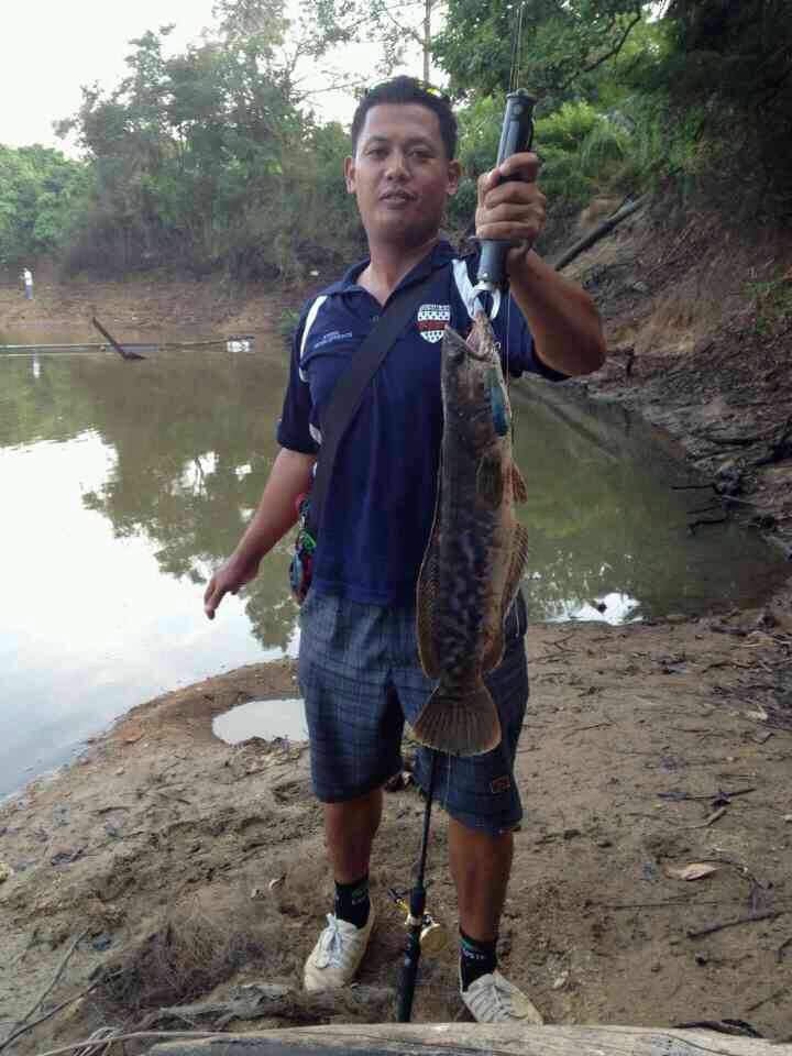 ชะโดหลังเลิกงาน (ภูเก็ต)