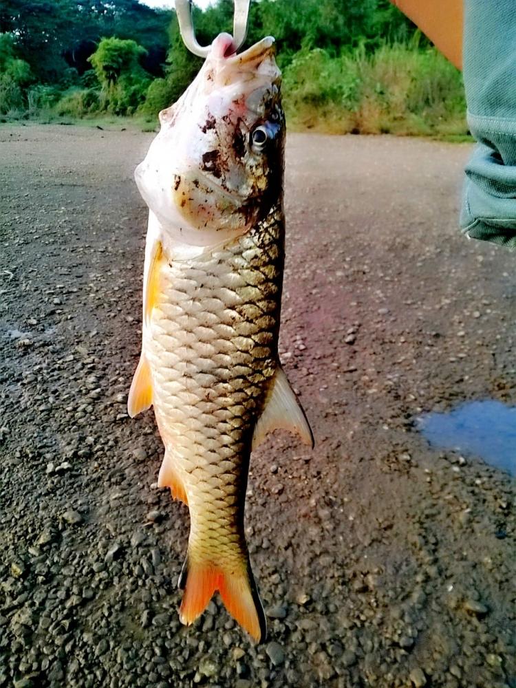 ทริปสั้นๆทริปแรก ของปี