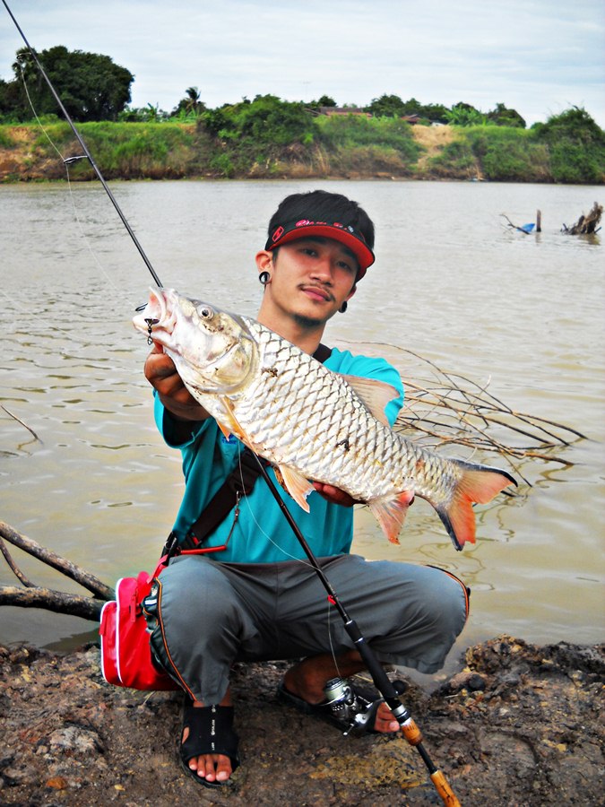 ..... ความมันส์ น้ำไหล กระสูบ ใหญ่ & ปลาเบี้ยว Chaophaya River .....