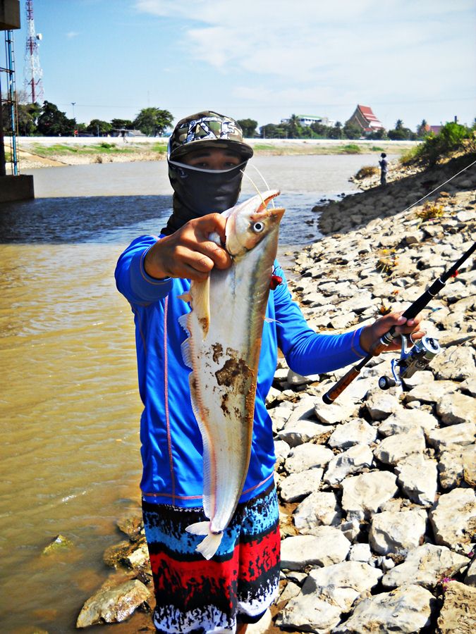 ..... ความมันส์ น้ำไหล กระสูบ ใหญ่ & ปลาเบี้ยว Chaophaya River .....