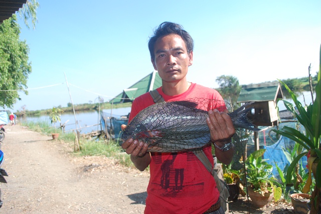 บ่อตกปลาหนุ่มบางวัว (บ่อปลารวม)ที่ 11,12-01-57