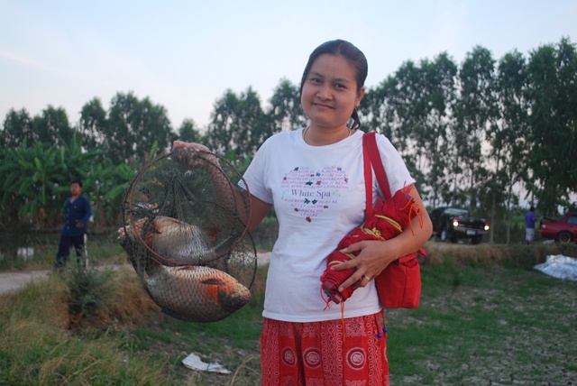 บ่อตกปลาหนุ่มบางวัว (บ่อปลารวม)ที่ 11,12-01-57