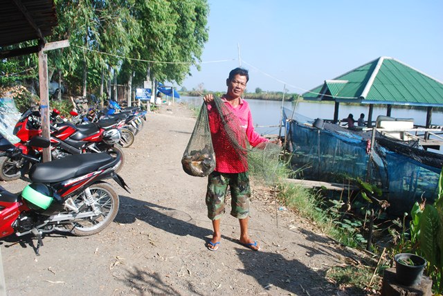 บ่อตกปลาหนุ่มบางวัว (บ่อปลารวม)ที่ 11,12-01-57