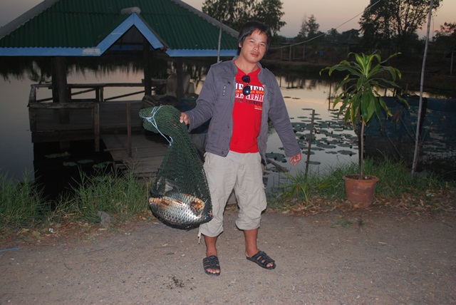 บ่อตกปลาหนุ่มบางวัว (บ่อปลารวม)ที่ 11,12-01-57