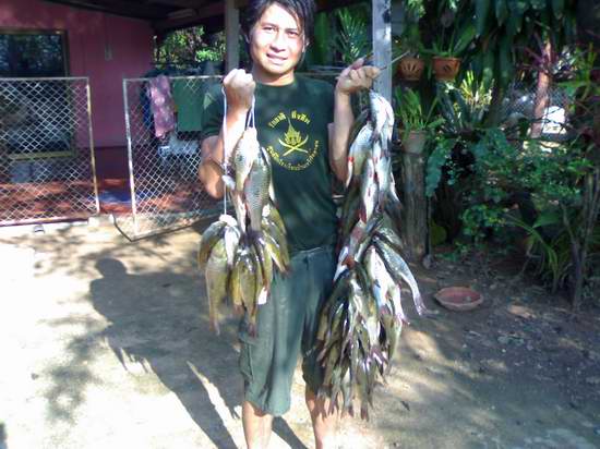 มันส์เดียว กับกระสูบจุดปลาครูของผม  รำลึกความหลังเมื่อ 9 ปีที่แล้วครับ 