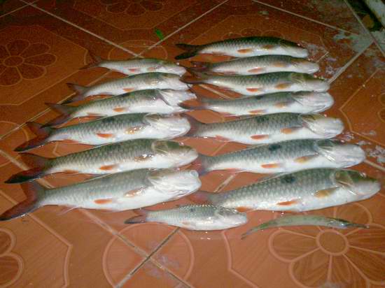 มันส์เดียว กับกระสูบจุดปลาครูของผม  รำลึกความหลังเมื่อ 9 ปีที่แล้วครับ 