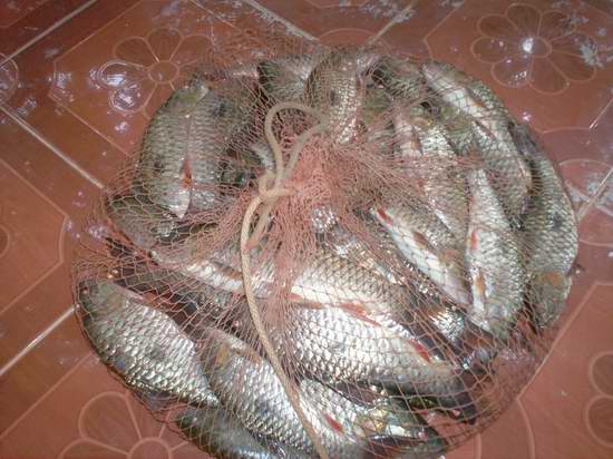 มันส์เดียว กับกระสูบจุดปลาครูของผม  รำลึกความหลังเมื่อ 9 ปีที่แล้วครับ 