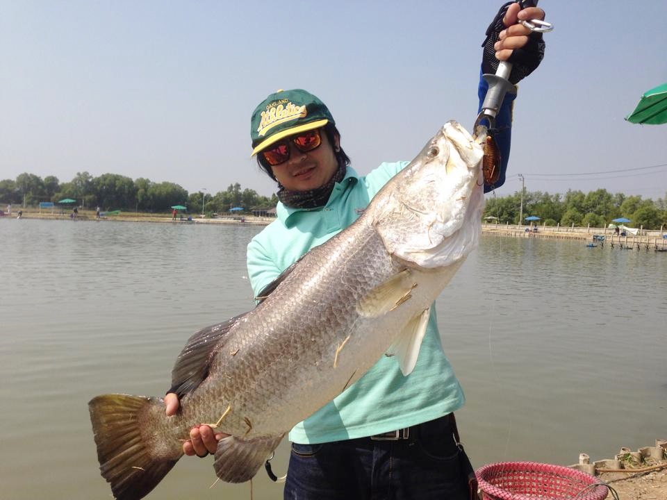 กะพงโทรฟี่ตัวแรกของปี@VIP