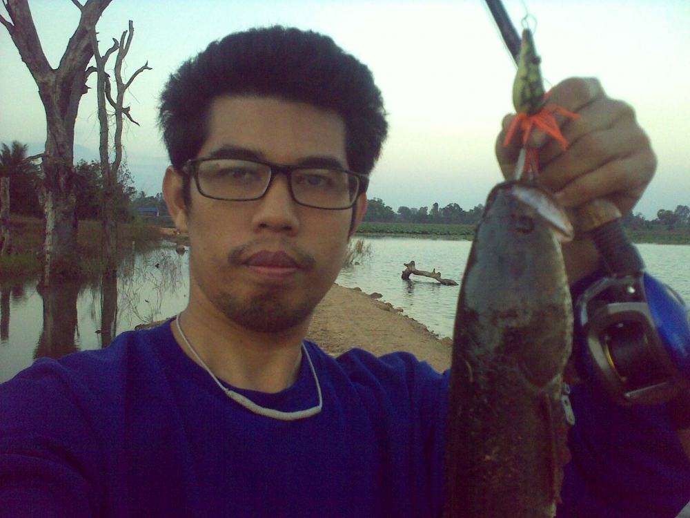 ช่อน กระสูบ มูลโคราช