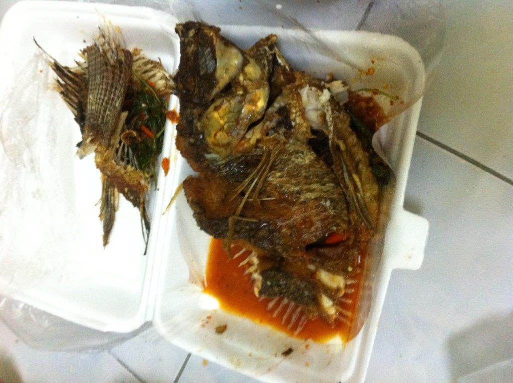 เปลียนวีถีการตกปลา