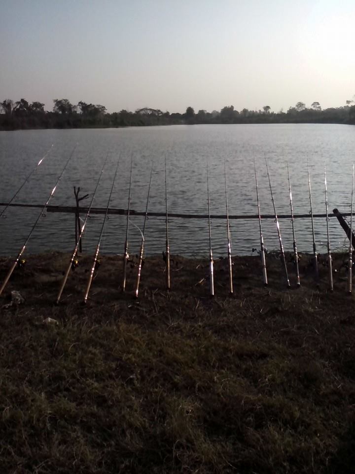 ปลากะโห้