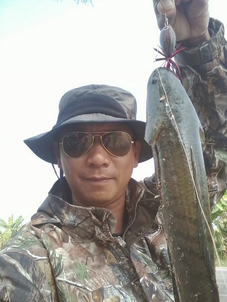 น้ำลดช่อนโผล่