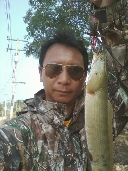 น้ำลดช่อนโผล่