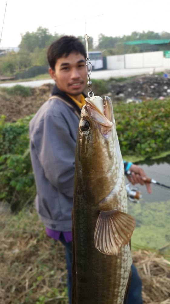 ช่อนข้างทางมันส์เกิ๊นนนน!!