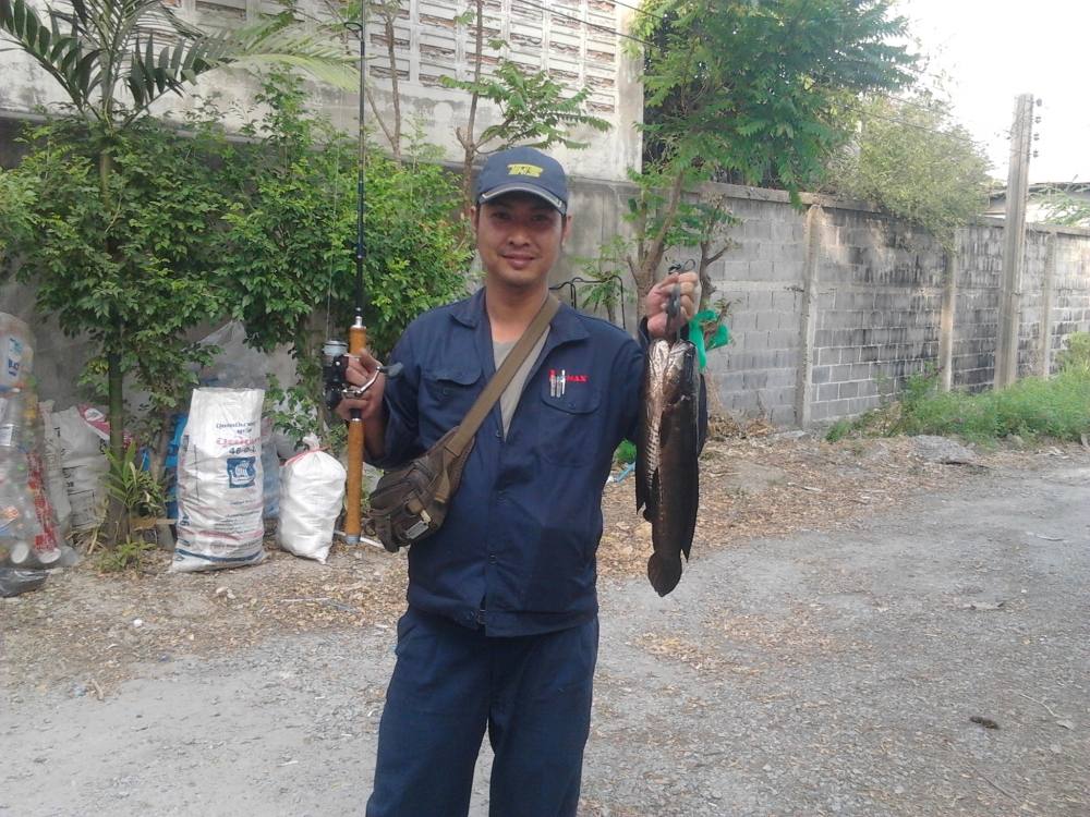 พักไป 9 เดือน พอหาย อยาก