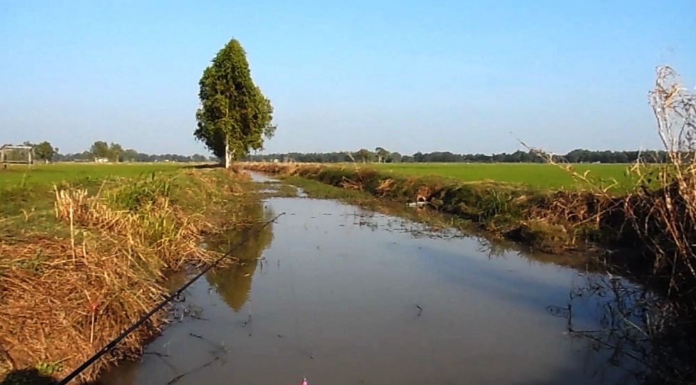 สิ่งดีๆ.............มีได้ทุกวัน........เพียงแค่ออกไปค้นหา....[ มีคลิปให้ชมครับ ]
