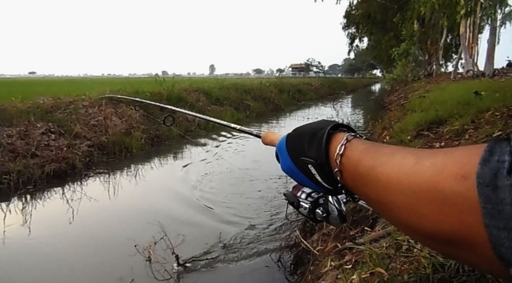 สิ่งดีๆ.............มีได้ทุกวัน........เพียงแค่ออกไปค้นหา....[ มีคลิปให้ชมครับ ]