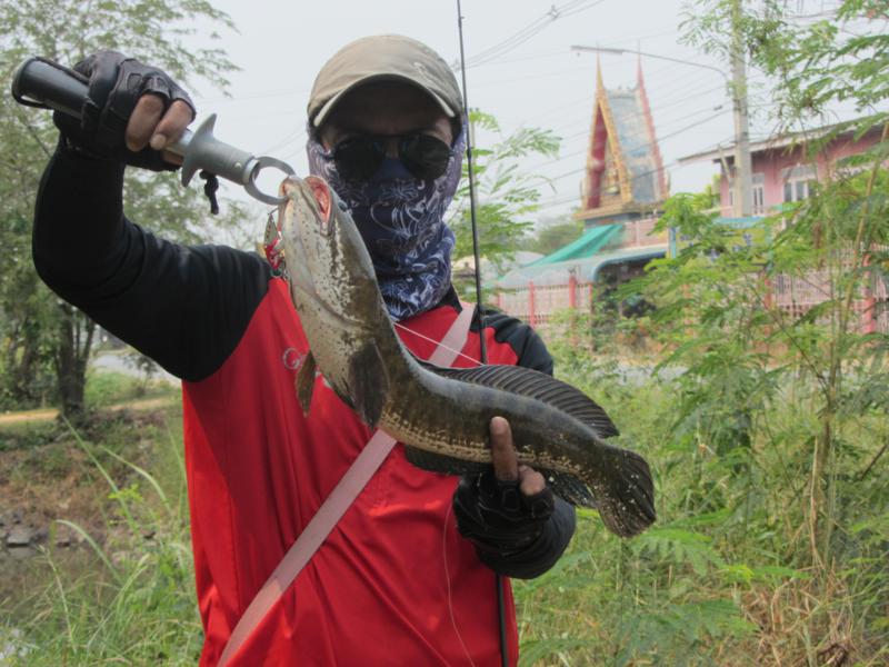 จัดไปครึ่งวัน ช่อนข้างทางครับ