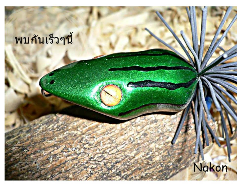 กบ Nakon