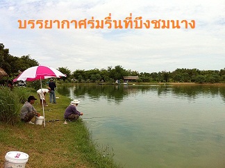 26 มกราคม หางยาวๆ ที่บึงชมนาง