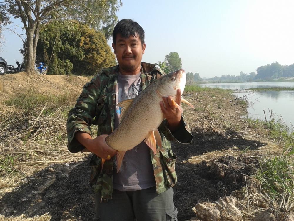 บึงกระดี่ โพทะเล  พิจิตร  ปีหน้าไปอีกแน่นอน