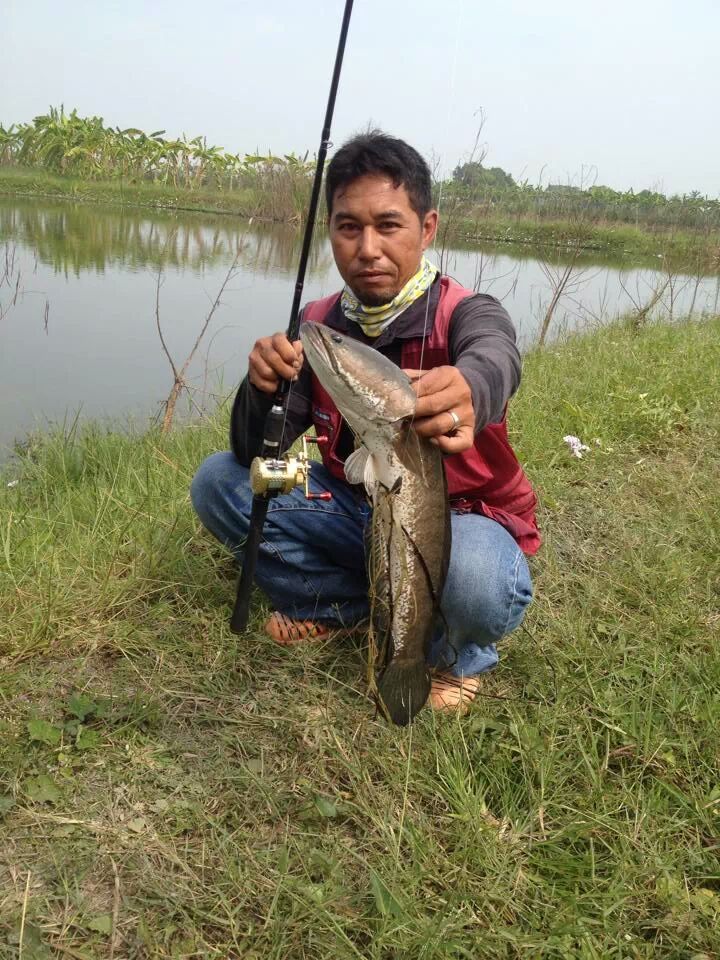 บ่อตกปลาช่อน