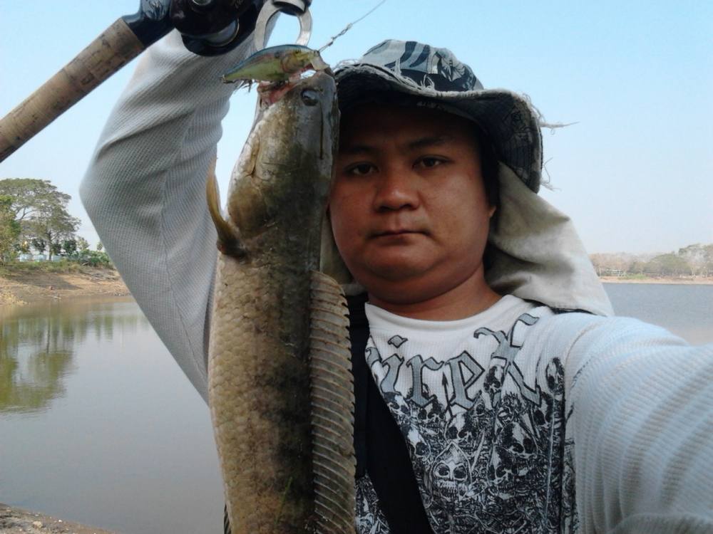 ยังได้อยู่