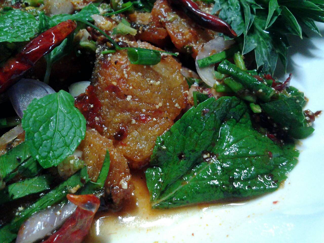 น้ำตกปลาช่อนทอด