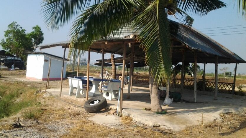 นัดล้างตา เก๋าใหญ่ กระพงยักษ์ สามร้อยยอด