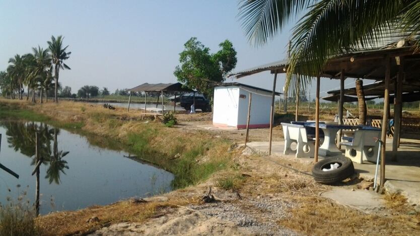 นัดล้างตา เก๋าใหญ่ กระพงยักษ์ สามร้อยยอด