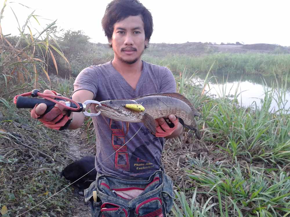 ***3เช้า1เย็น***