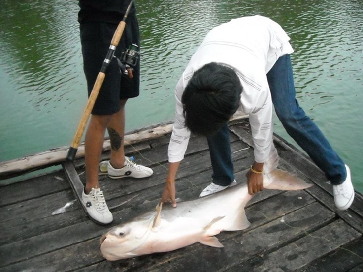 เมื่อวาน !!