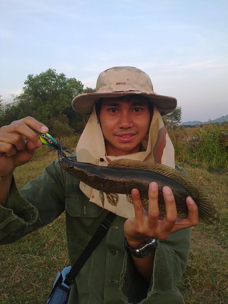 ตีเหยือปลอมวันหยุด