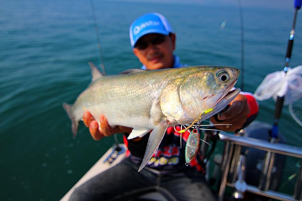 ***..LightJigging กับ 300ยอด Fishing Boat..***