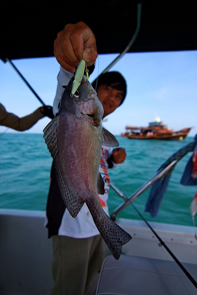 ***..LightJigging กับไต๋กุ๊ก..300ยอด Fishing Boat..***  