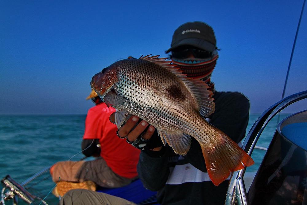 ***..LightJigging กับไต๋กุ๊ก..300ยอด Fishing Boat..***  