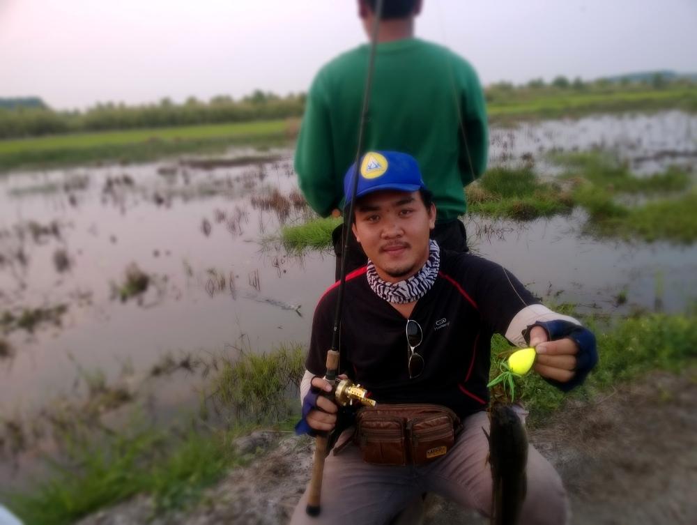 # หมายลับ องครักษ์ #