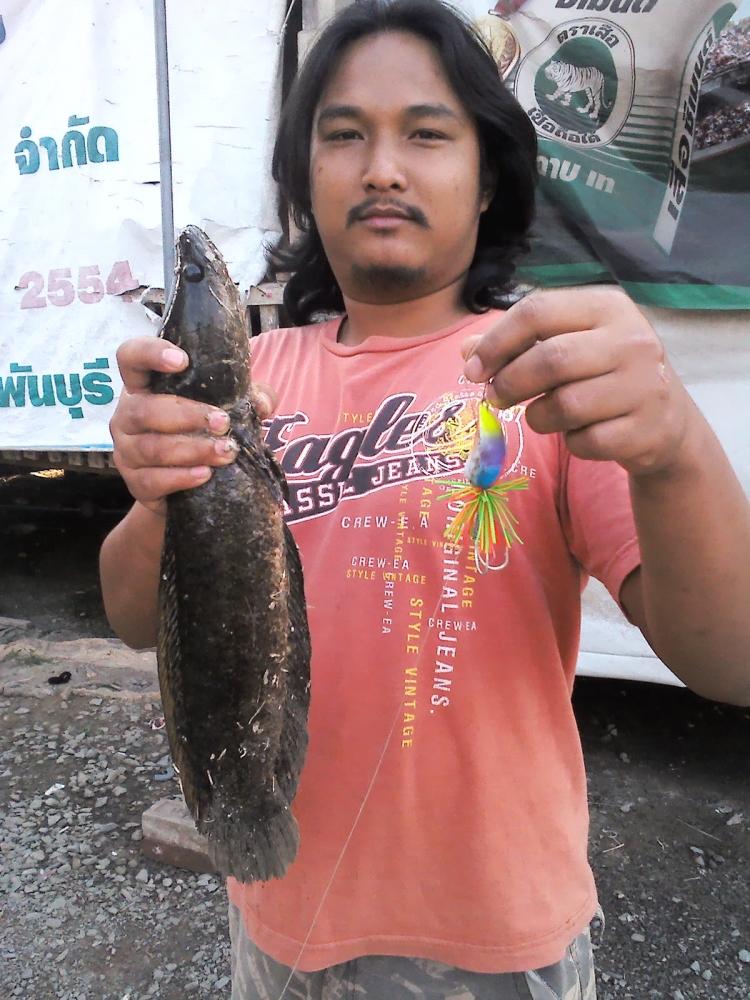 กะสง9ขีด