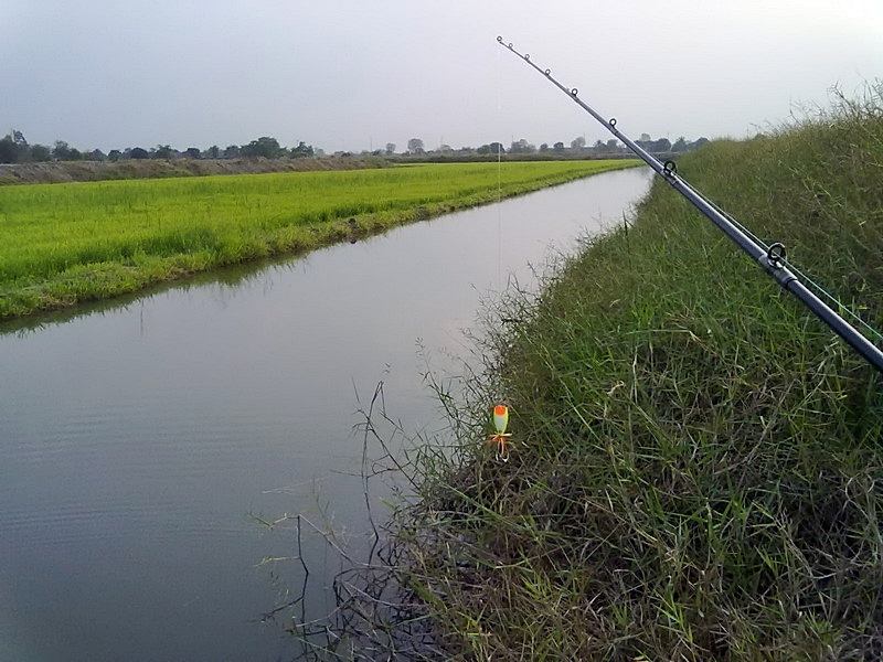 ^_^ เช็คหมายเด็ด...หาช่อนไซส์นึ่ง...^_^