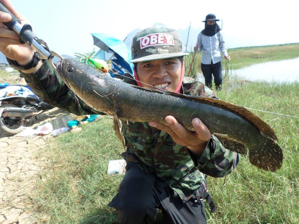 วันหยุดอีกแล้วววววว  by TOMFISHINGMAN