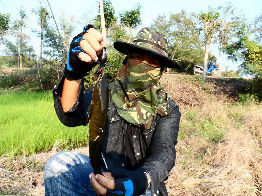 ลองชิมสักคำไหมครับ........ช่อนตัวใหญ่ๆ.......แก้มเต็มช้อนนนน......[ มีคลิป ]