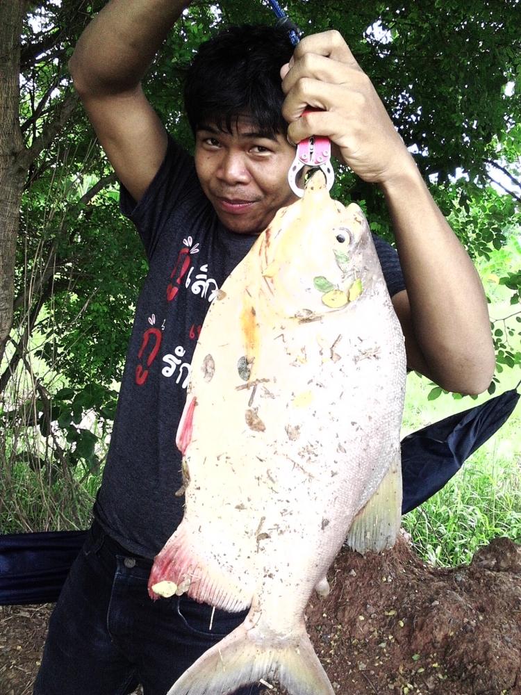  ไปตกเปคูเล่น ที่บอตกปลาบ้านสวน (โคราช) เปคู ก็มันไปอีกแบบ