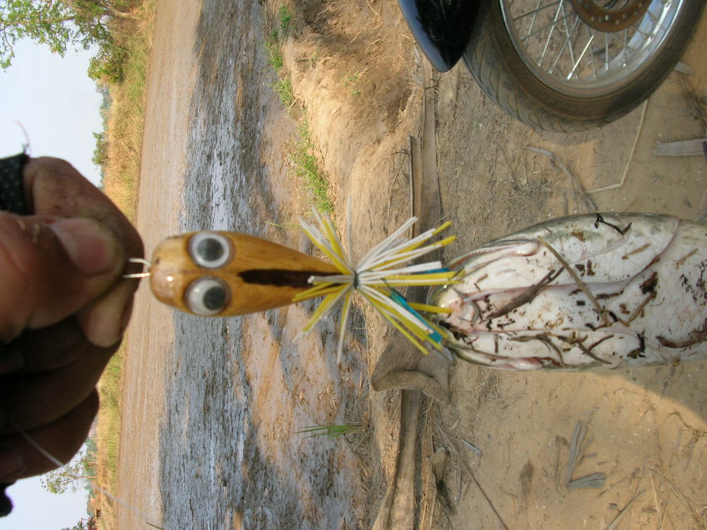 ทดลองส่ง..เทสเหยื่อคราบ