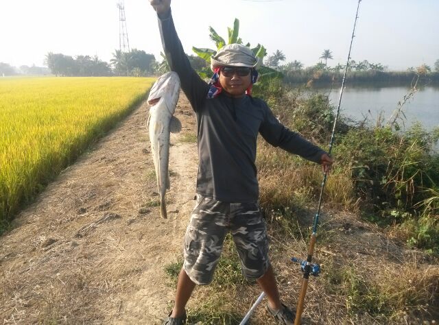 หริราดทีมกับผลงานหมายบางไทร