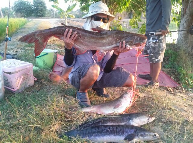 หริราดทีมกับผลงานหมายบางไทร