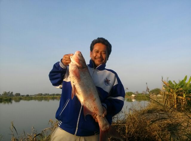 หริราดทีมกับผลงานหมายบางไทร