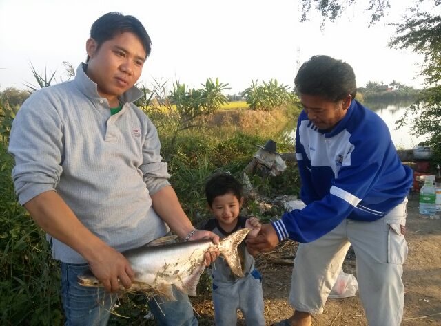 หริราดทีมกับผลงานหมายบางไทร