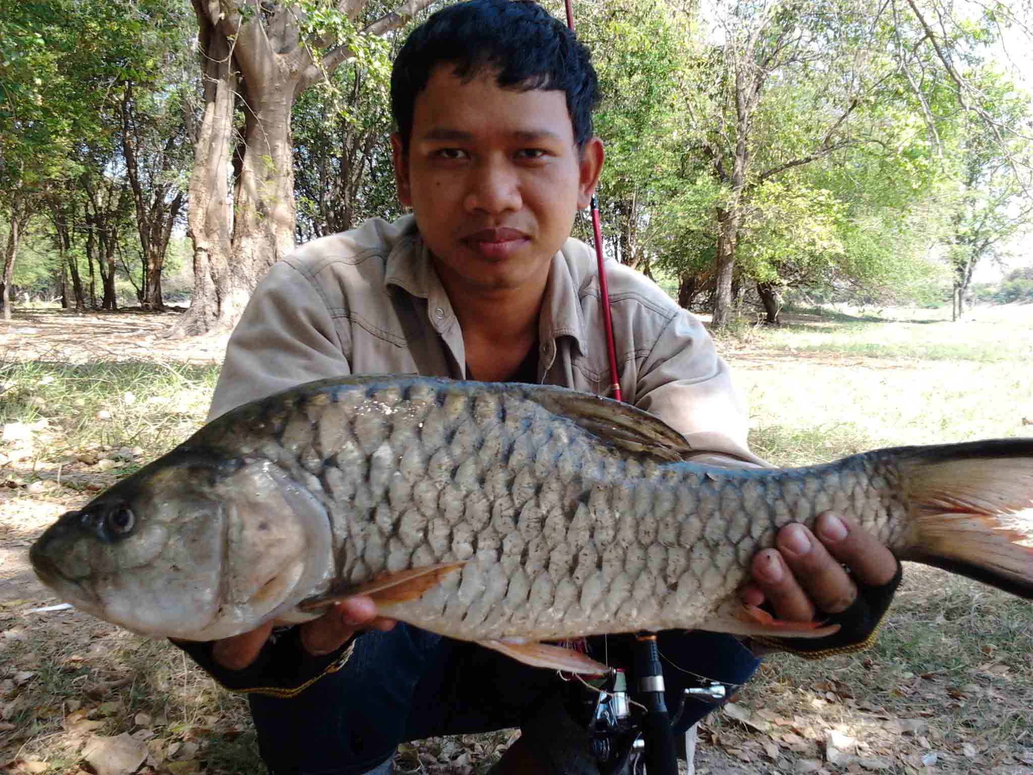 ทริปเล็กๆที่ป่าสัก