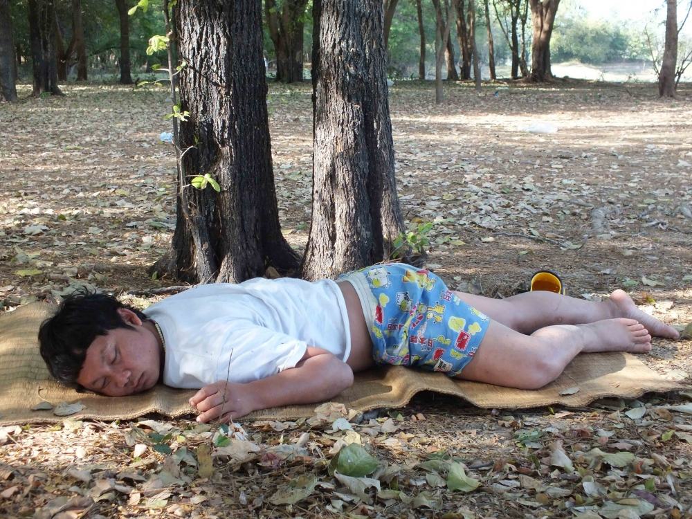 ทริปเล็กๆที่ป่าสัก